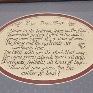 Boys, Boys, Boys A Mother of Boys Poem in wooden picture frame This says it all.